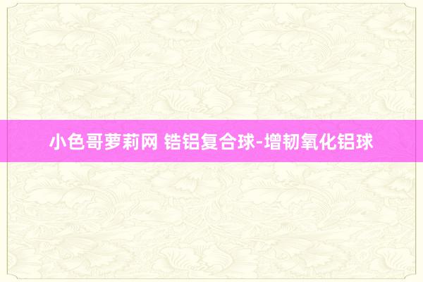 小色哥萝莉网 锆铝复合球-增韧氧化铝球