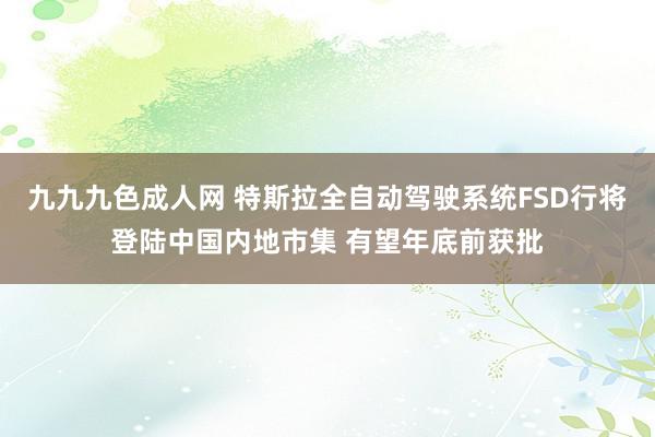 九九九色成人网 特斯拉全自动驾驶系统FSD行将登陆中国内地市集 有望年底前获批