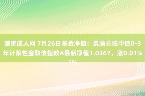 嘟嘟成人网 7月26日基金净值：景顺长城中债0-3年计策性金融债指数A最新净值1.0367，涨0.01%