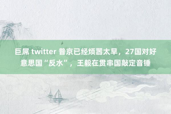 巨屌 twitter 普京已经烦嚣太早，27国对好意思国“反水”，王毅在贯串国敲定音锤