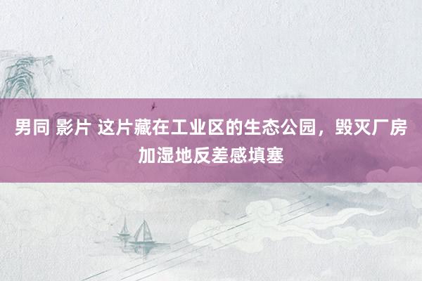 男同 影片 这片藏在工业区的生态公园，毁灭厂房加湿地反差感填塞