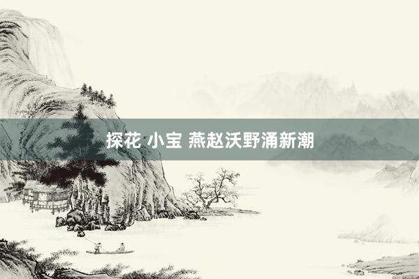 探花 小宝 燕赵沃野涌新潮