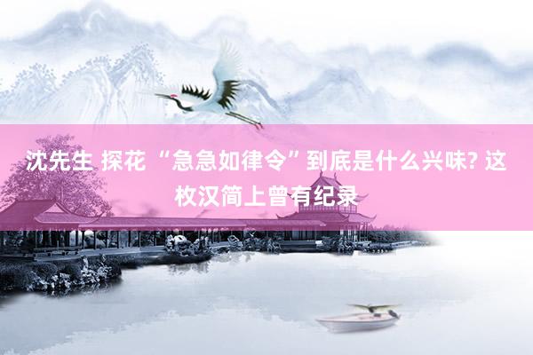 沈先生 探花 “急急如律令”到底是什么兴味? 这枚汉简上曾有纪录