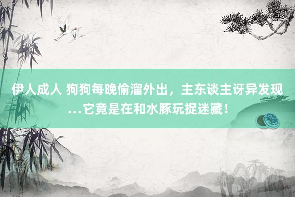 伊人成人 狗狗每晚偷溜外出，主东谈主讶异发现…它竟是在和水豚玩捉迷藏！